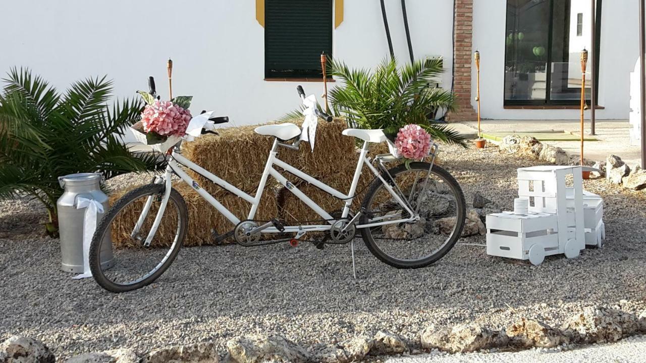 Alojamiento Rural El Chaparral Setenil De Las Bodegas Extérieur photo
